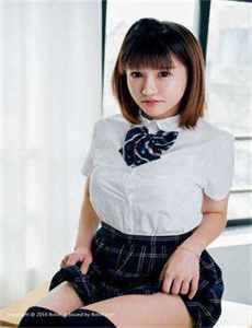 完美计划