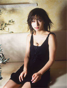 大唐女将樊梨花剧情介绍