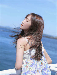护花倾情
