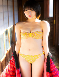 尖子攻略国语